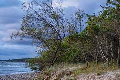 Netflix Stock: Unpacking the Split and Its Visionary Potential