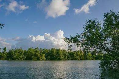 DeFi Token Performance Post-October Crash: Investor Trends & the 2025 Data Outlook