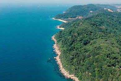 Netflix Stock: Unpacking the Split and Its Visionary Potential